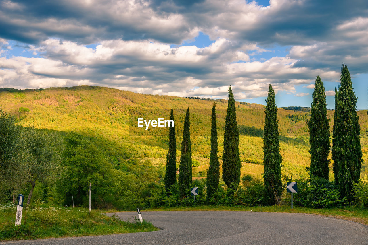 Road amidst trees against sky