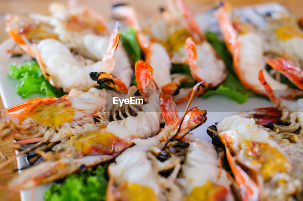 CLOSE-UP OF FISH SERVED ON PLATE