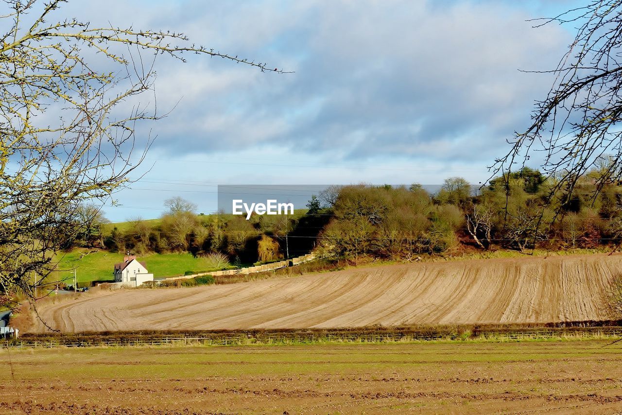 Scenic view of agricultural field against sky