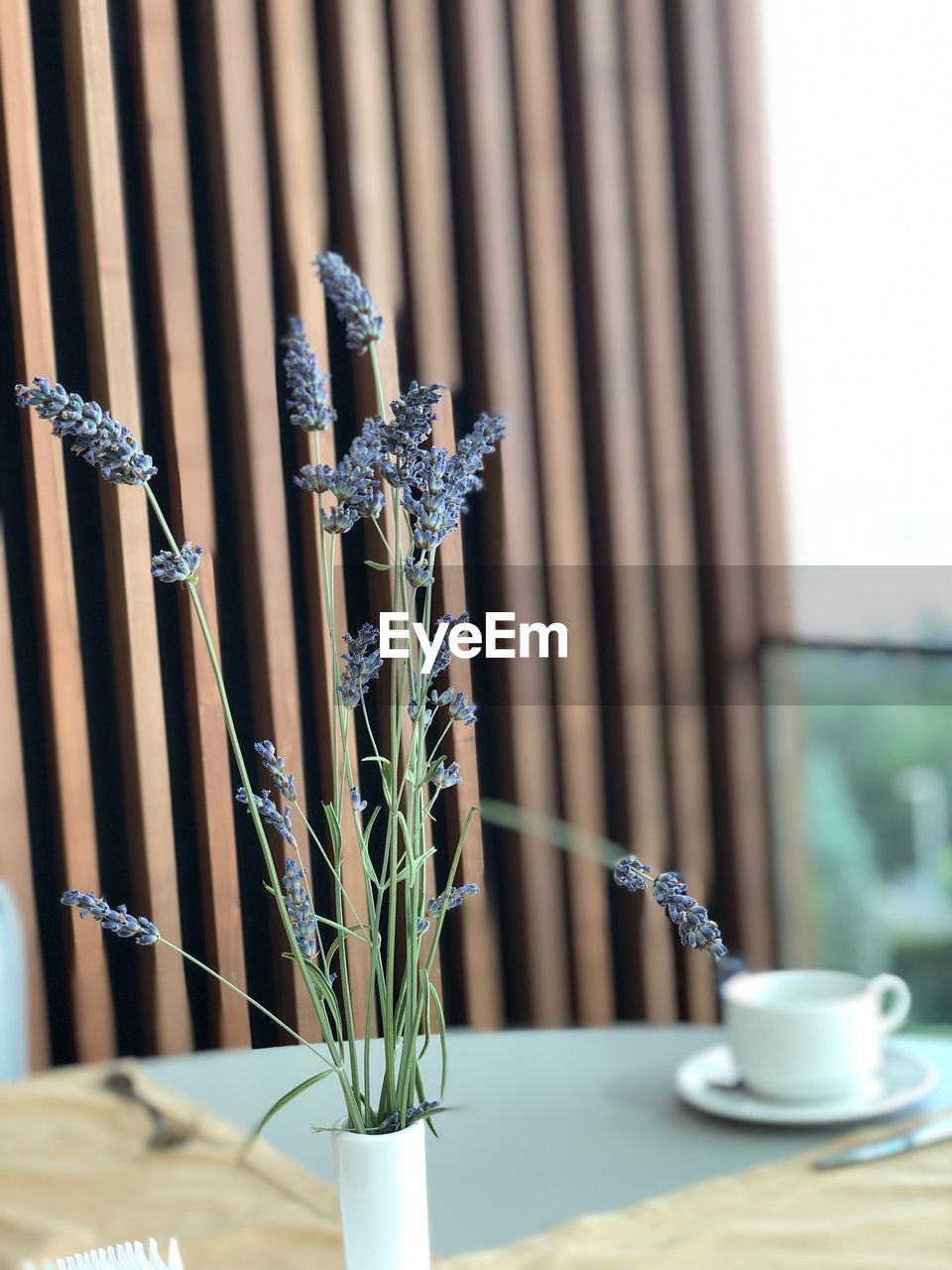 CLOSE-UP OF DRINK ON TABLE BY PLANT