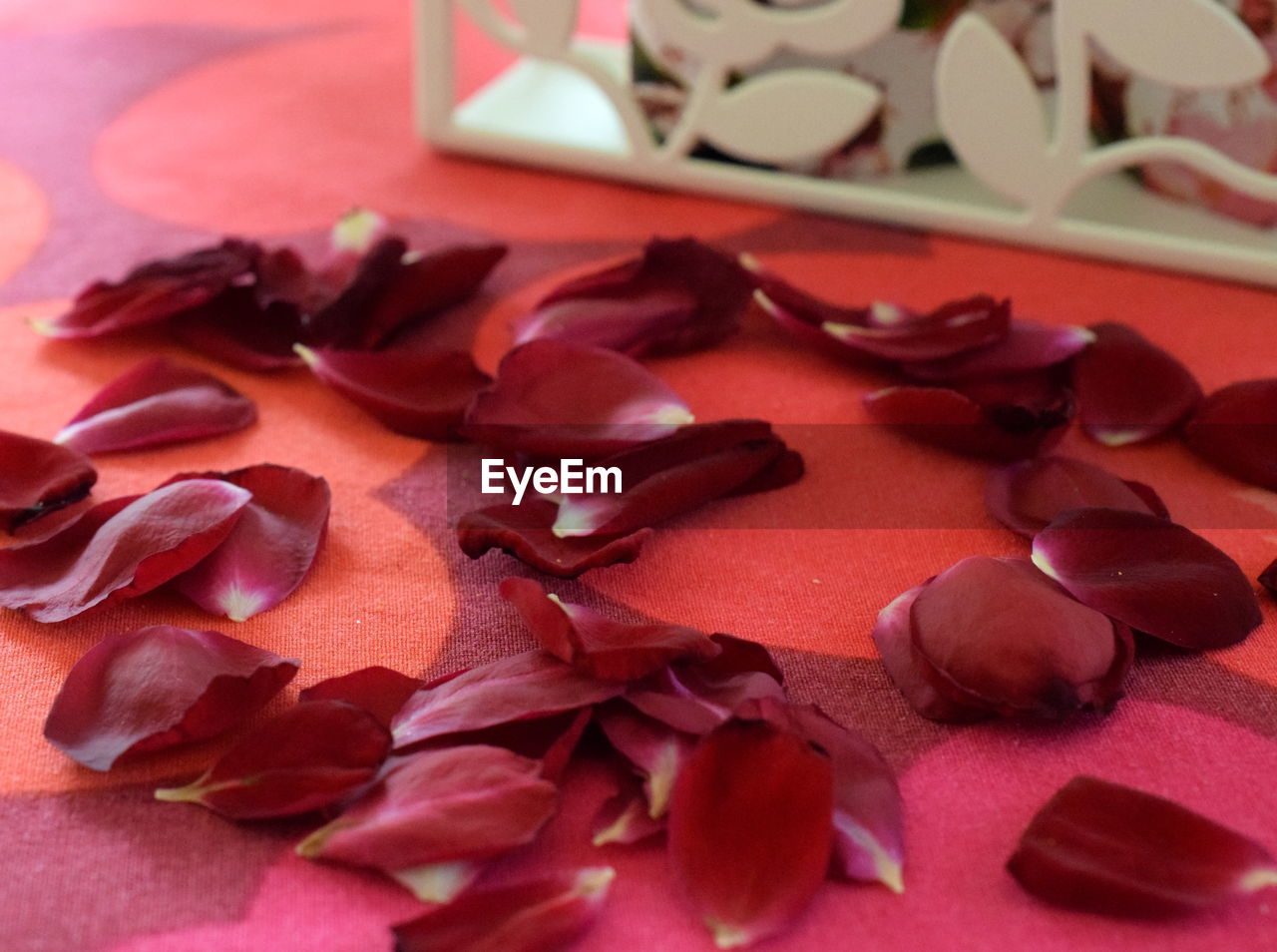 Close-up of rose petals on a table 