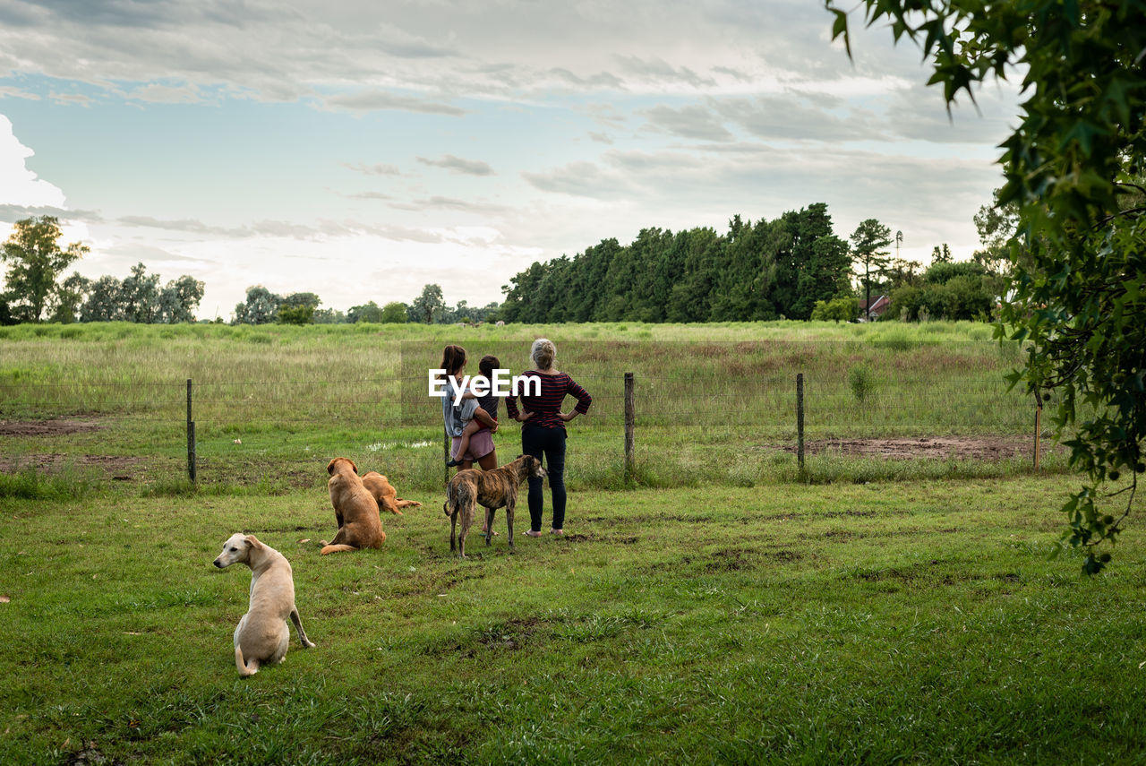 DOG ON FIELD AGAINST SKY