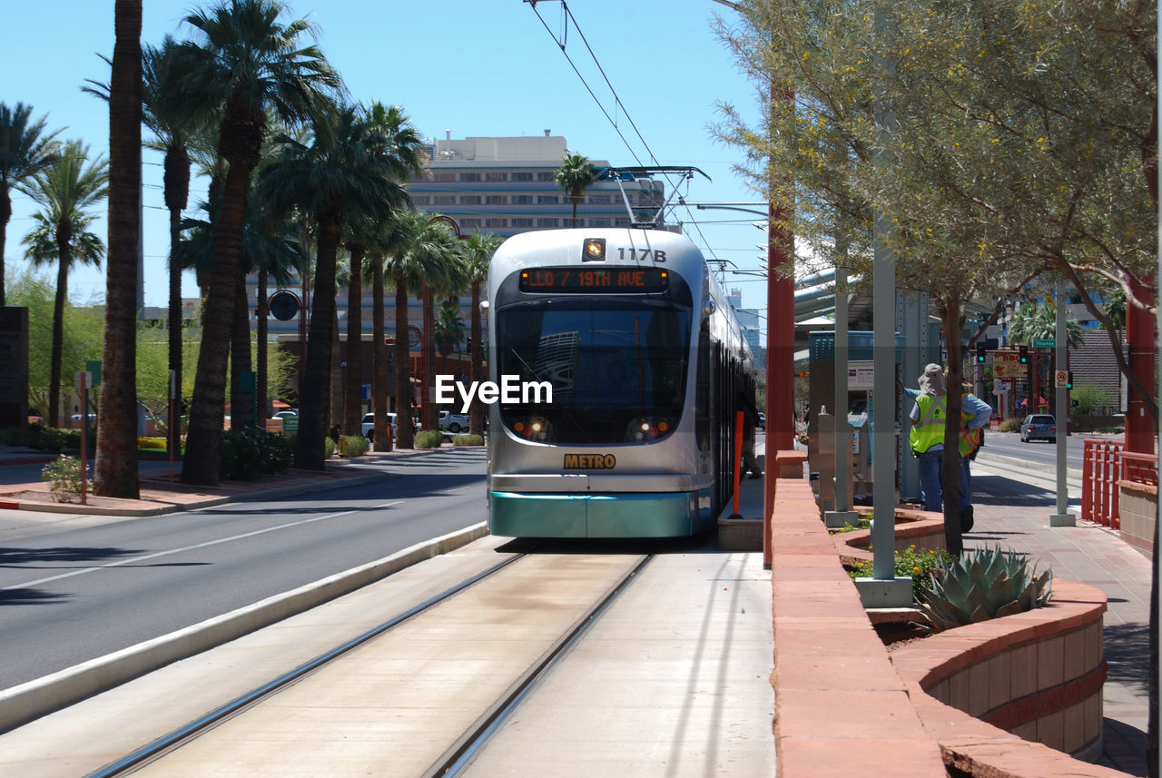 Tramway on road by palm trees in city