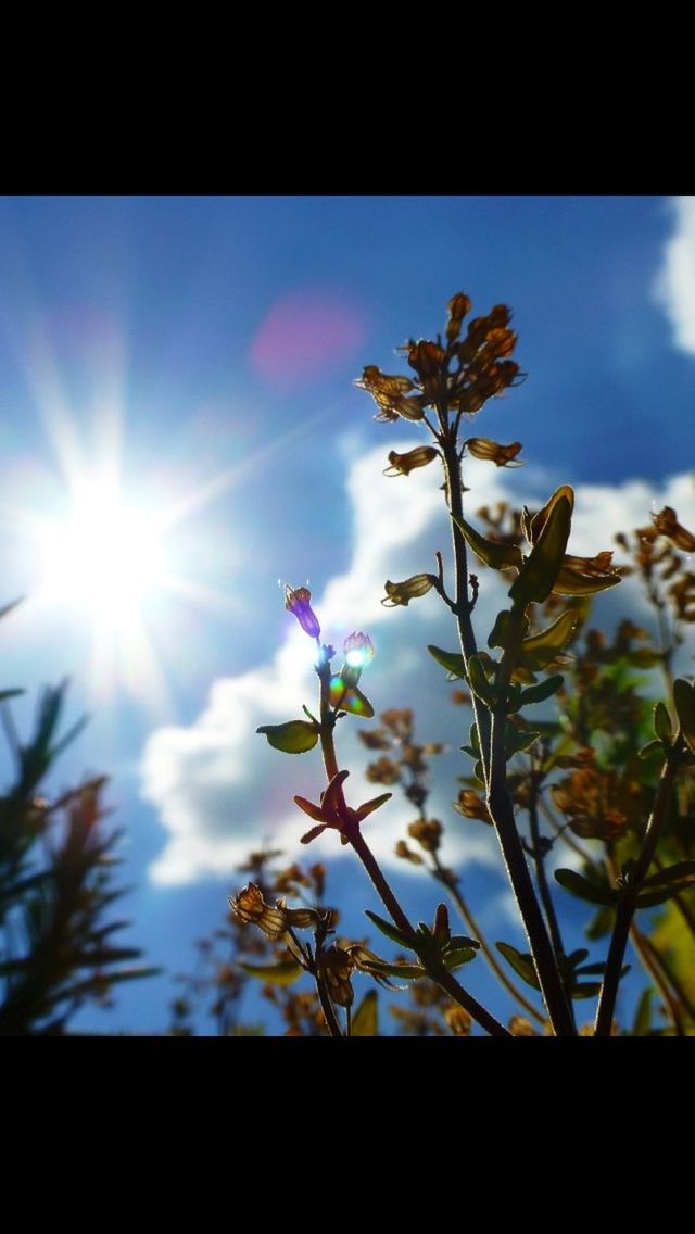 LOW ANGLE VIEW OF SUN SHINING THROUGH CLOUDS