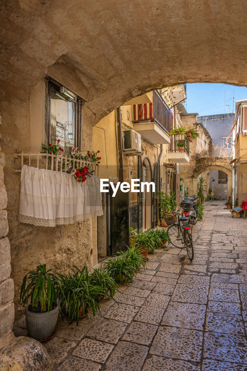 Potted plants in alley amidst buildings at town