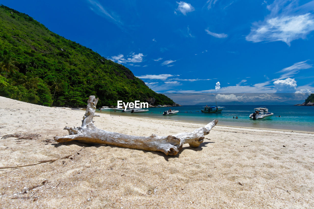 VIEW OF DRIFTWOOD ON BEACH AGAINST SKY