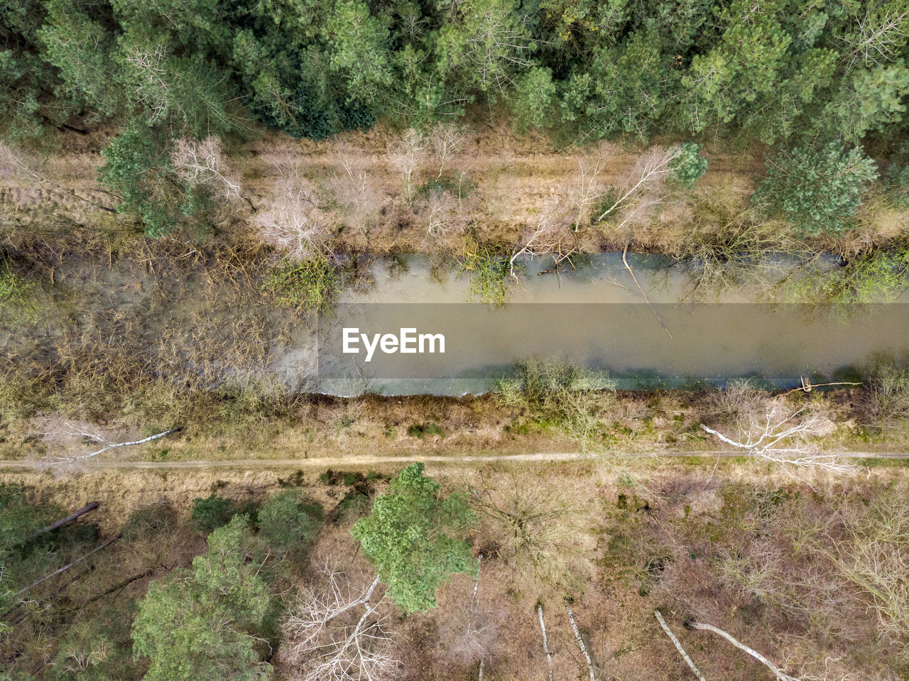 High angle view of lake amidst trees in forest