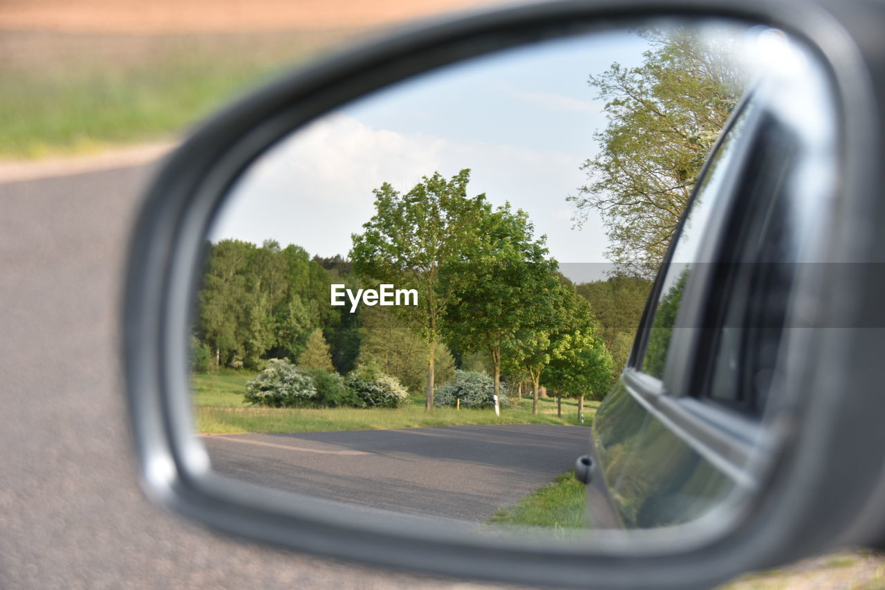 REFLECTION OF TREES IN SIDE-VIEW MIRROR