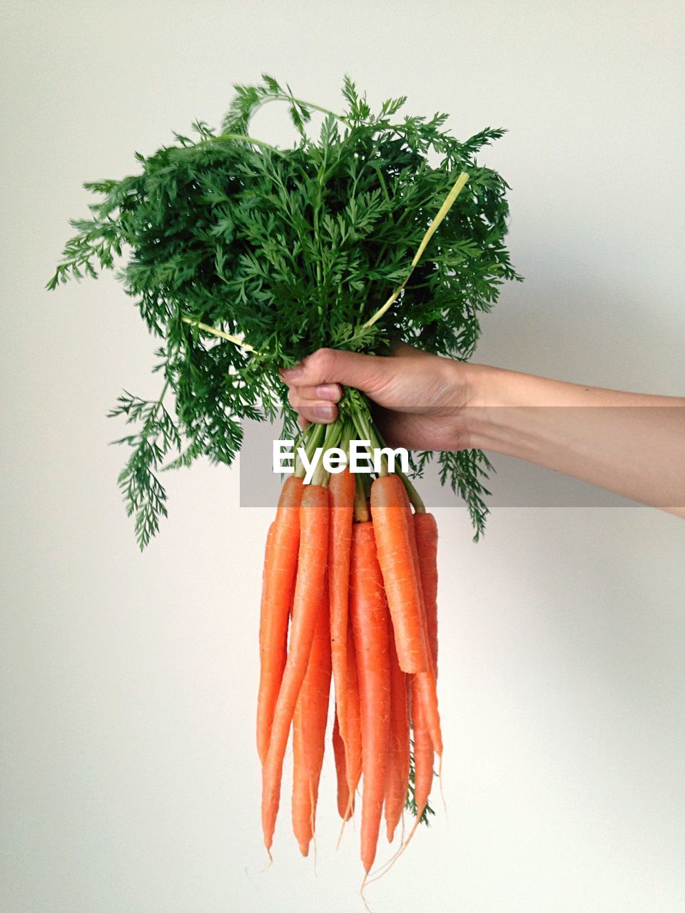 Hand holding bunch of carrots