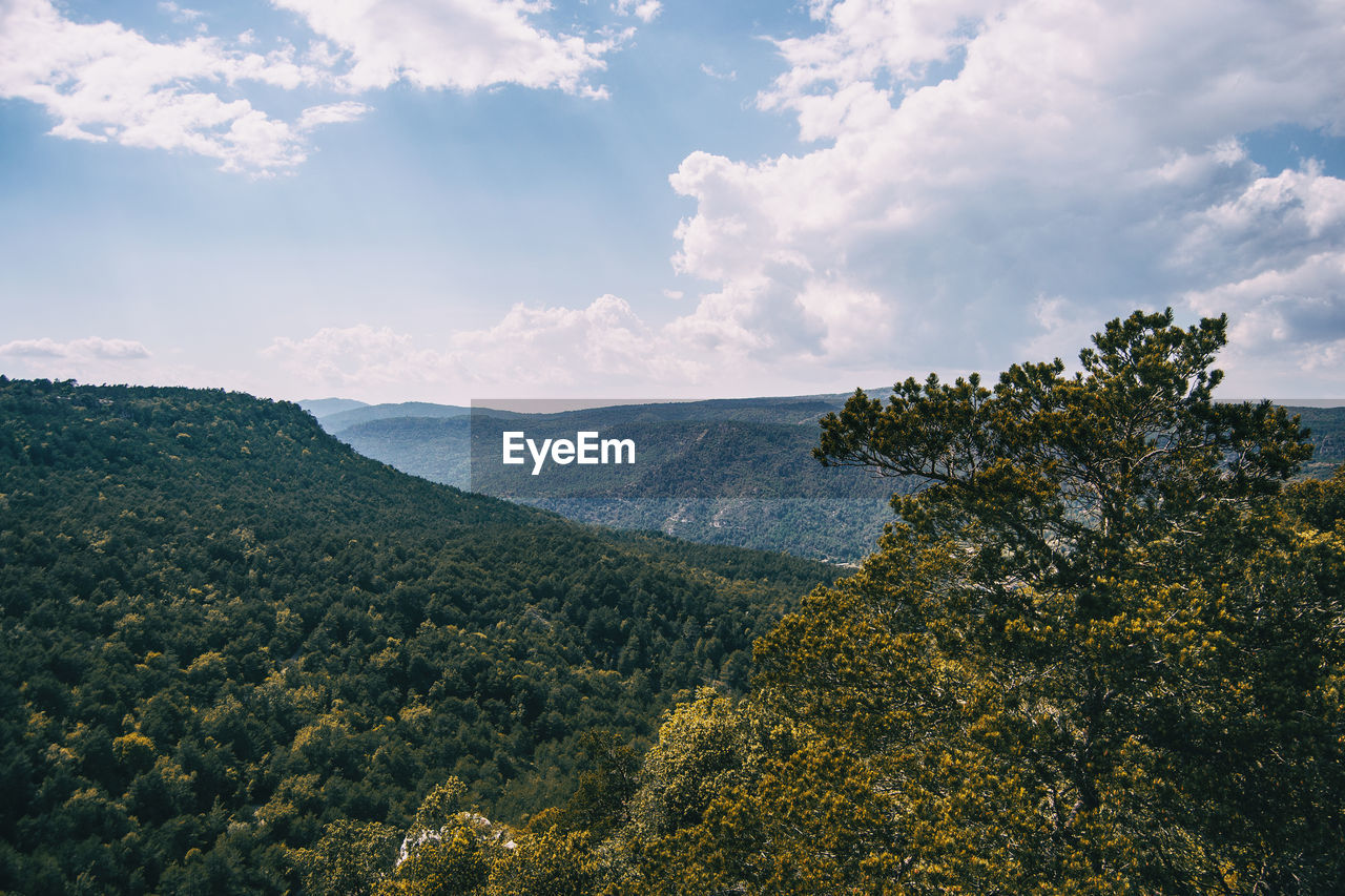 Landscape of the prades mountains, in tarragona, spain. a sunny summer day with green trees