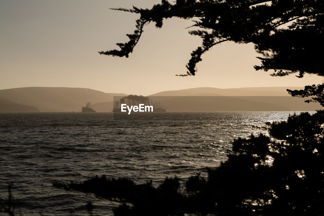 Tree covered island on tomales bay seen through trees in foreground