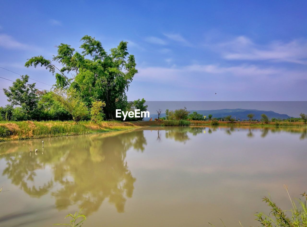 Reflection of trees in lake against sky