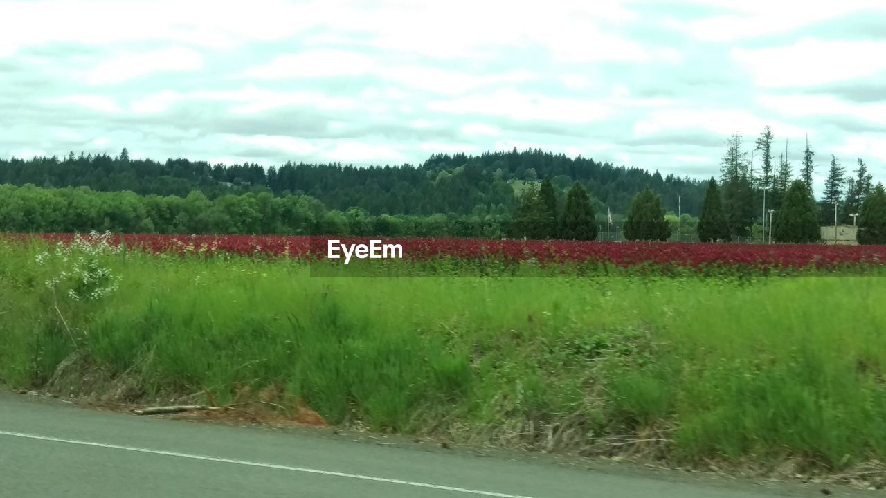 SCENIC VIEW OF FARMS AGAINST SKY