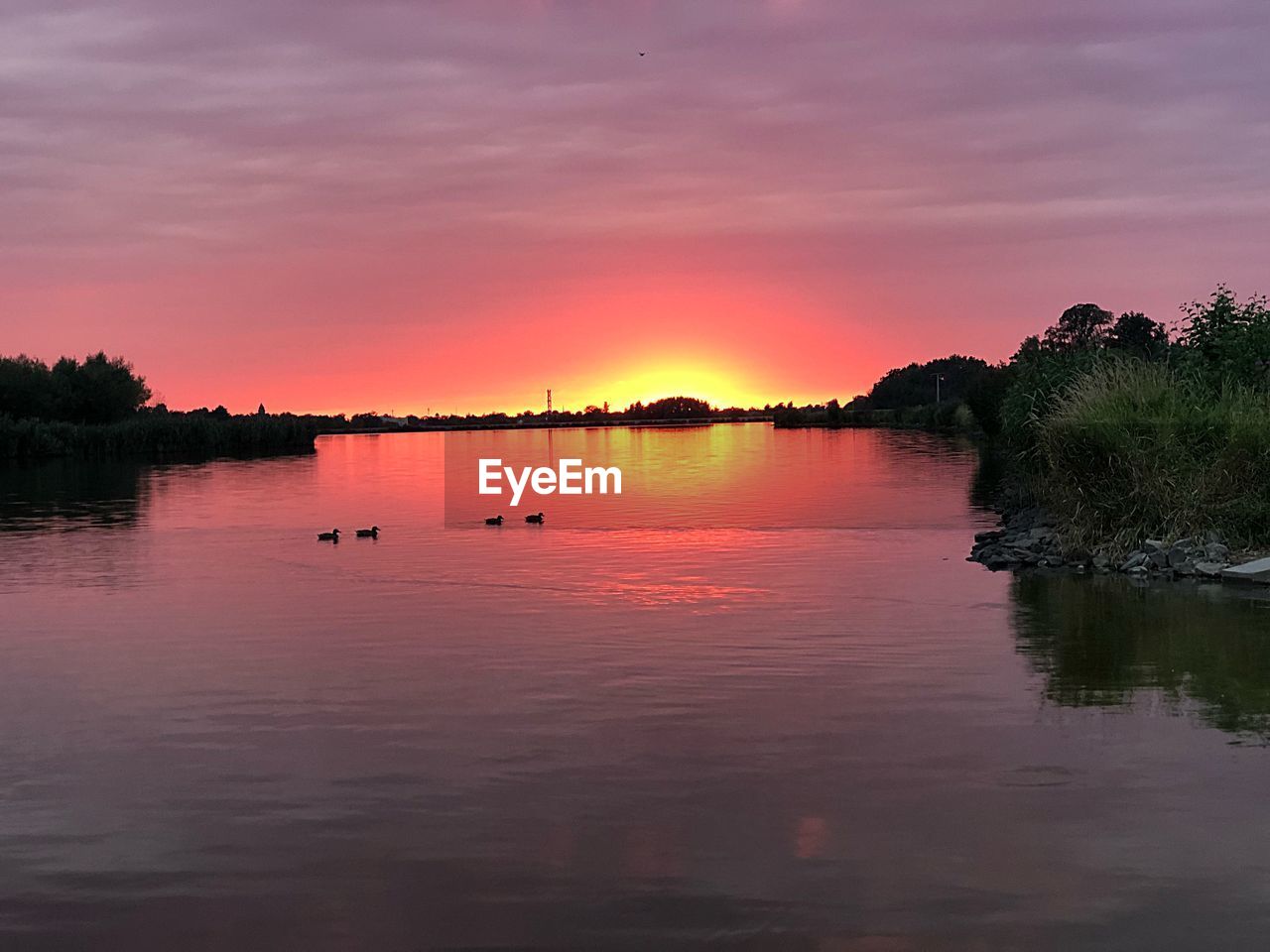 SCENIC VIEW OF LAKE BY SILHOUETTE TREES AGAINST SKY DURING SUNSET