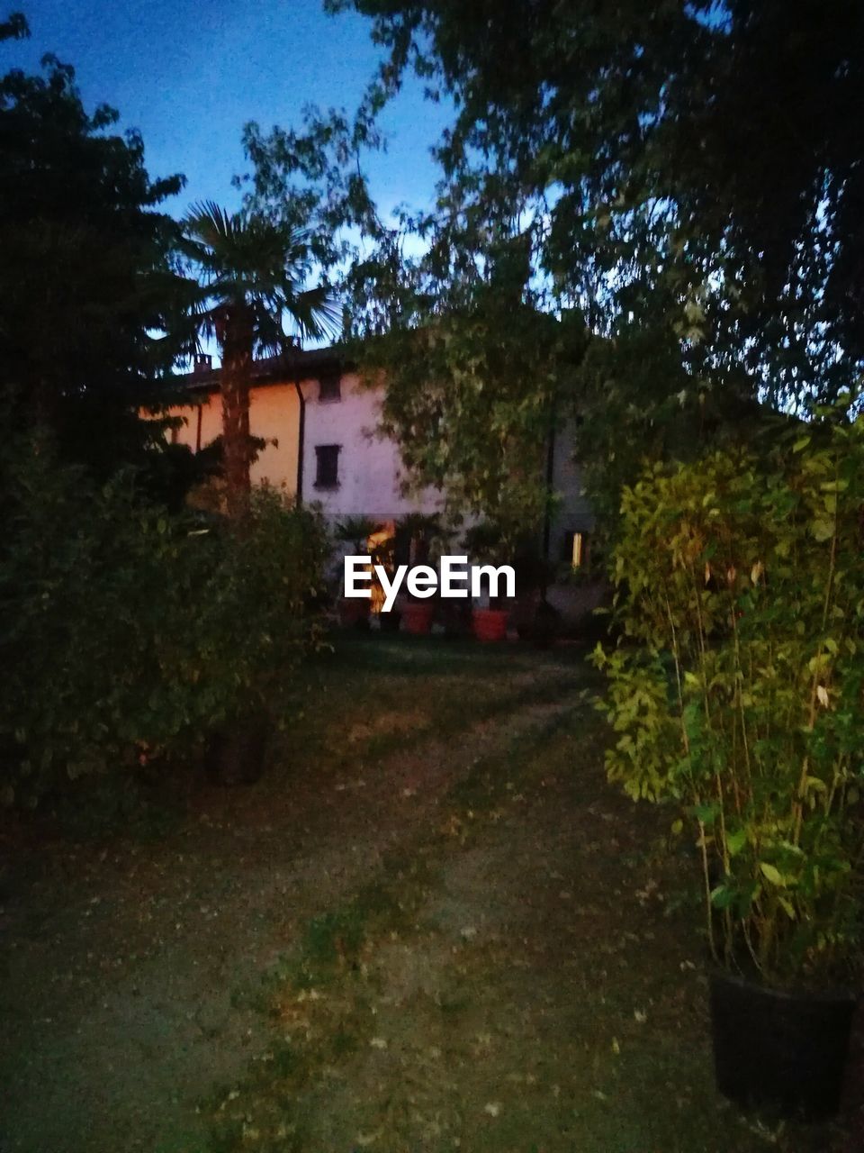 TREES BY ILLUMINATED BUILDING AGAINST SKY