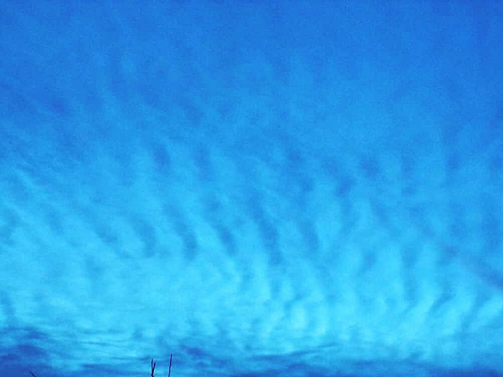 LOW ANGLE VIEW OF SKY