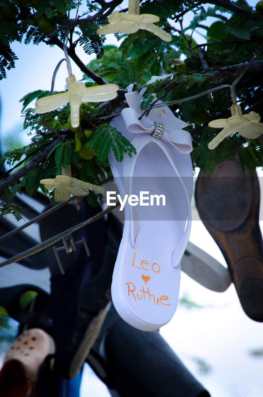 CLOSE-UP OF HEART SHAPE HANGING ON TREE AGAINST BLURRED BACKGROUND