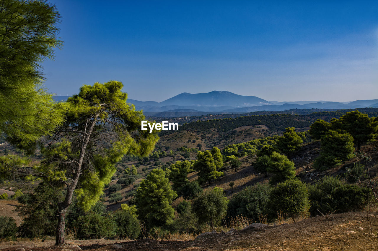 SCENIC VIEW OF LANDSCAPE AGAINST BLUE SKY