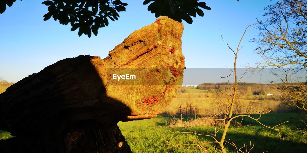 SCENIC VIEW OF ROCKS AGAINST SKY