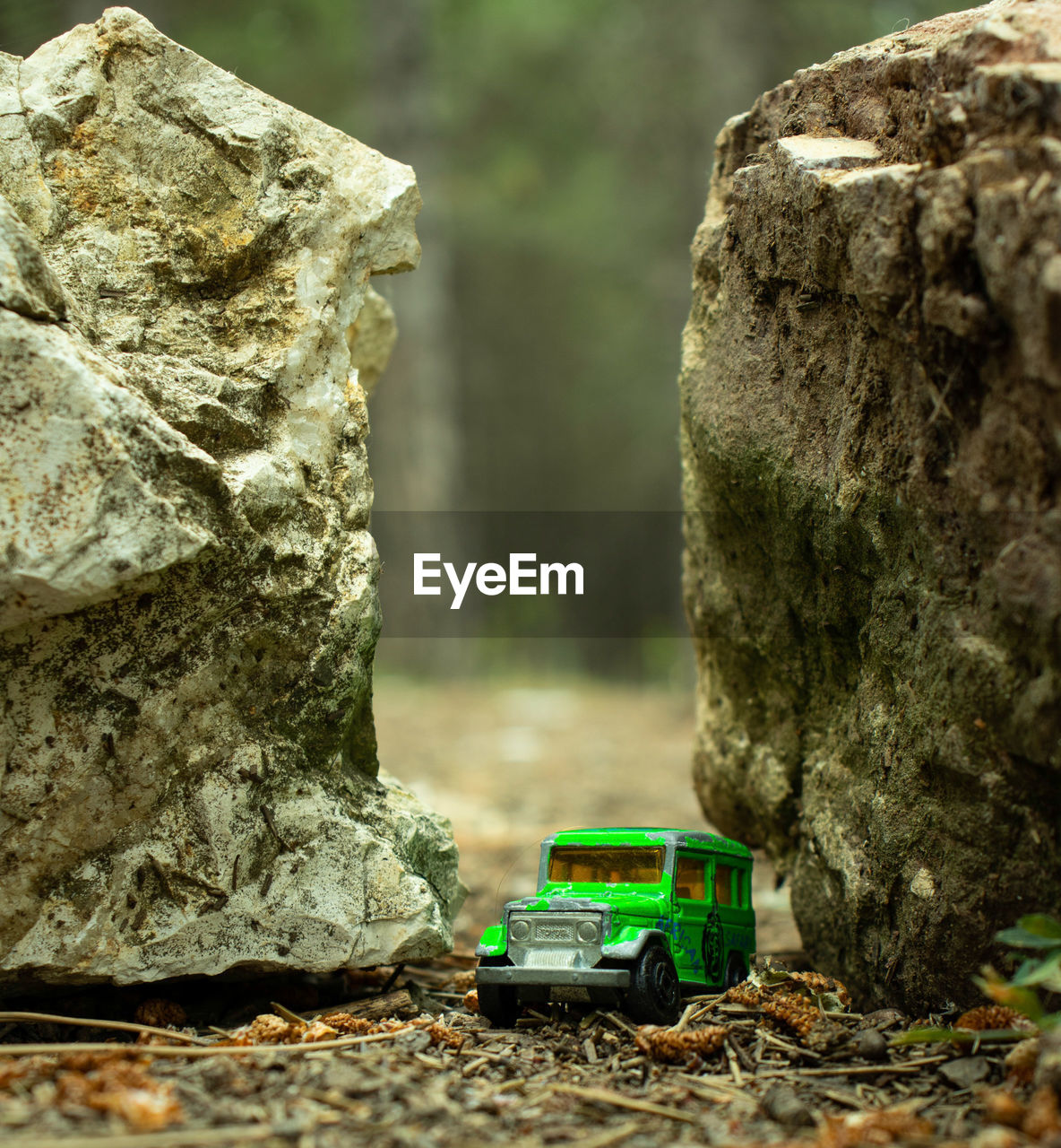 CLOSE-UP OF TOY CAR ON ROCK BY TREE