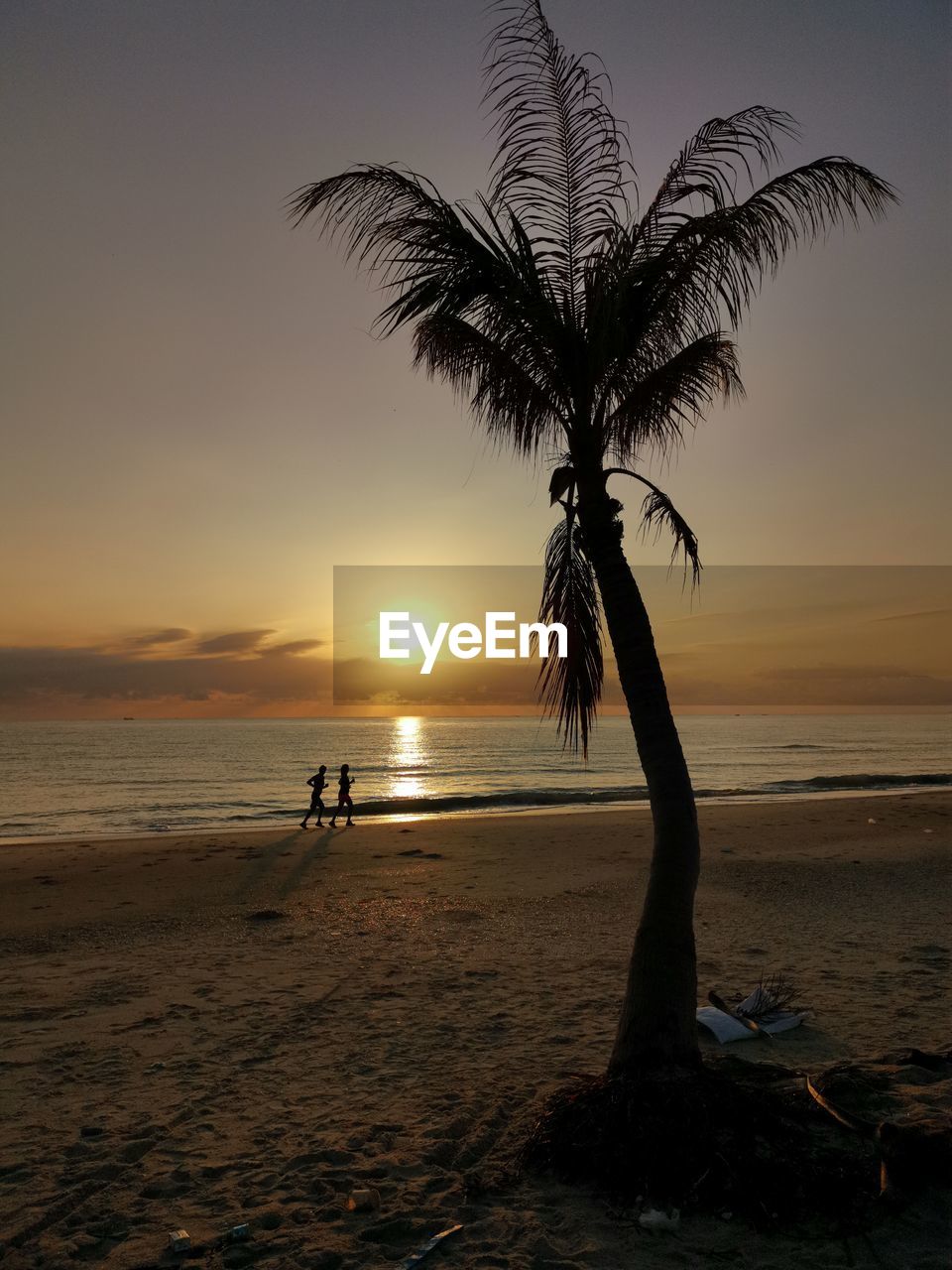 Silhouette palm tree on beach against sky during sunset