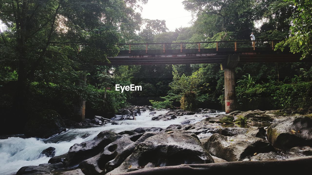 Scenic view of waterfall in forest against sky