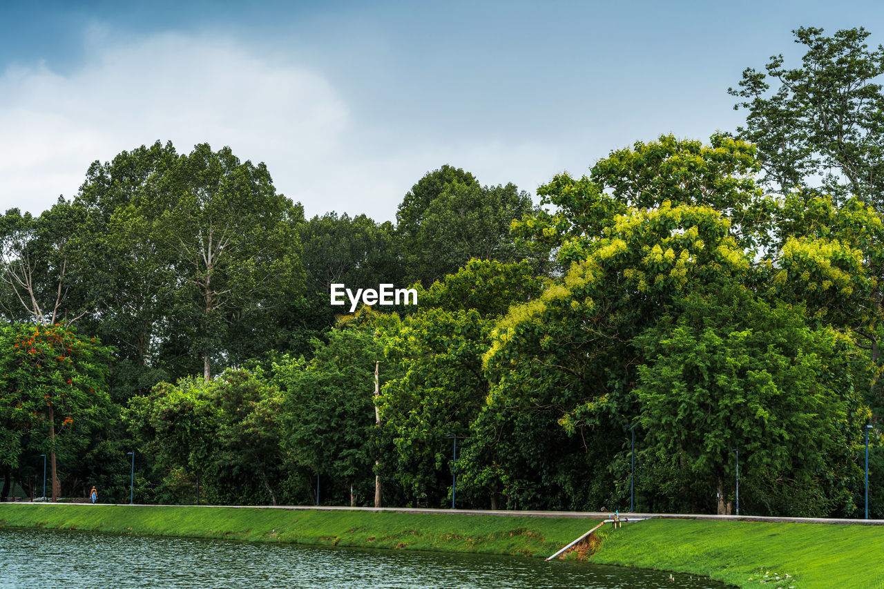 SCENIC VIEW OF LAKE AGAINST TREES