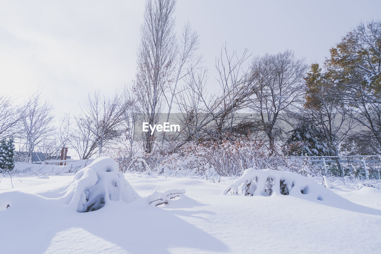 Bare trees on snow covered field against sky