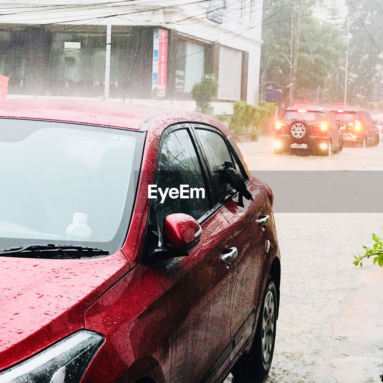 CLOSE-UP OF CAR ON ROAD AGAINST BUILDING