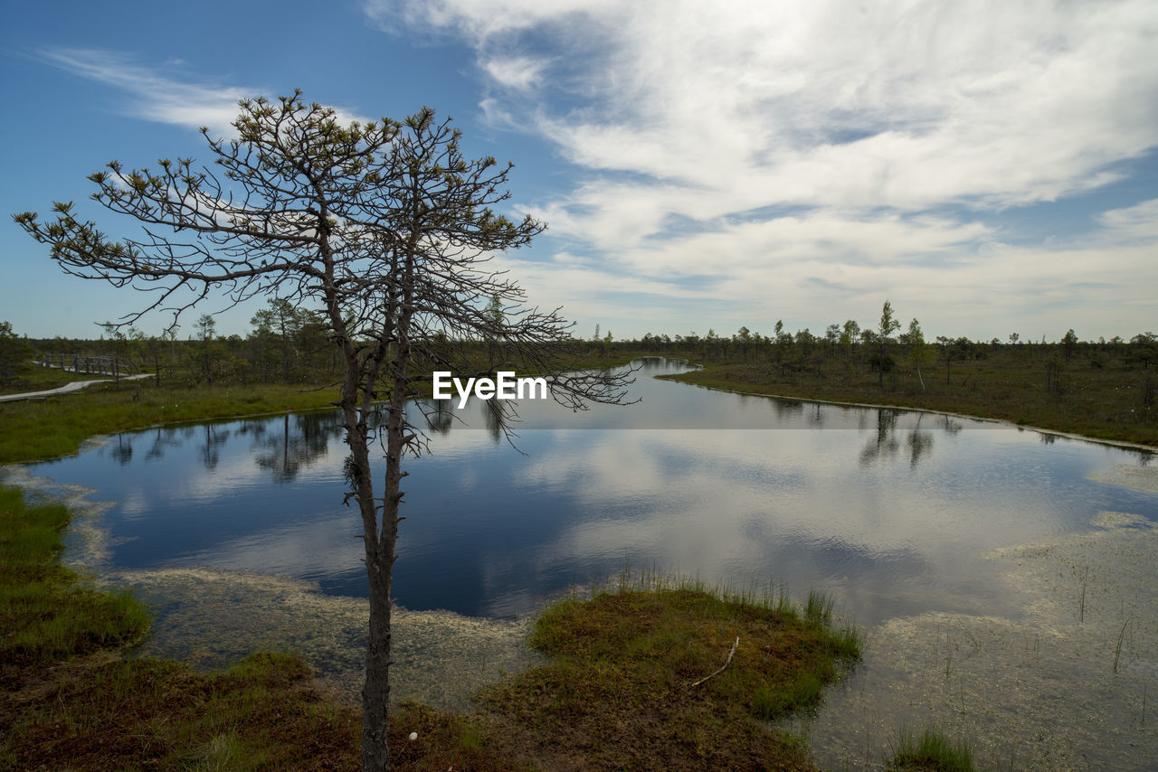 REFLECTION OF TREES ON LAKE AGAINST SKY