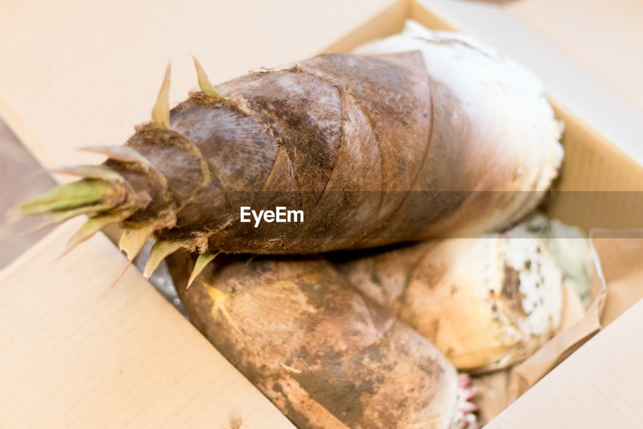 High angle view of bamboo shoots in box in springtime in japan