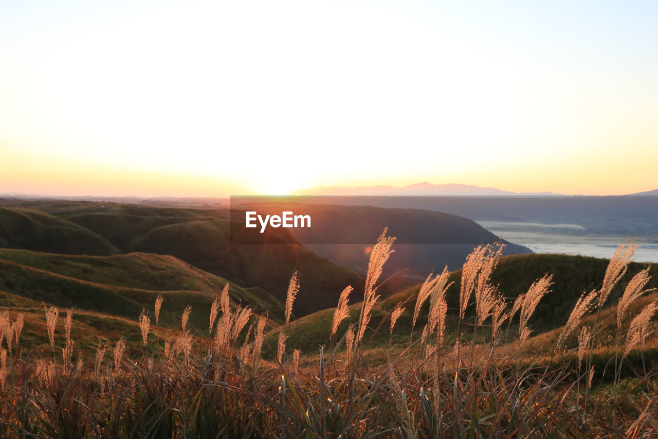 Scenic view of field against sky during sunset