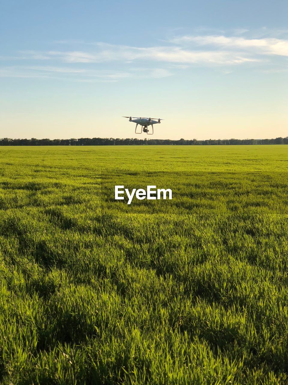 SCENIC VIEW OF AGRICULTURAL FIELD