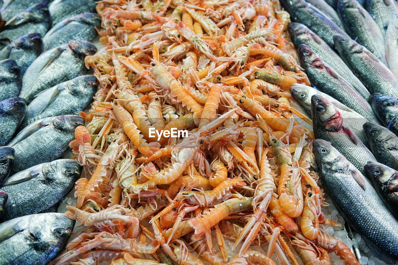 High angle view of shrimps and fish at market for sale
