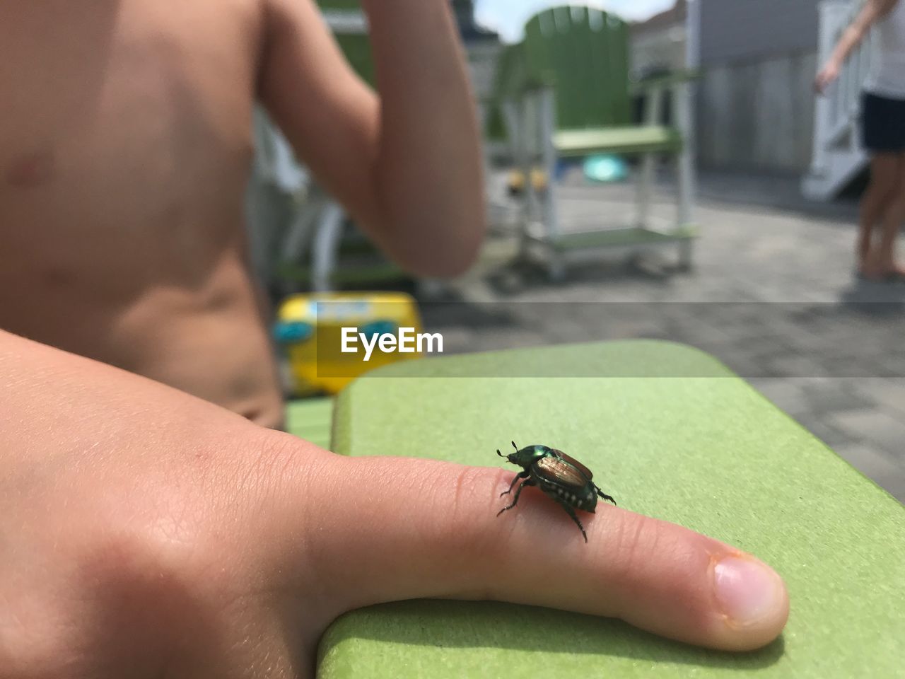 CLOSE-UP OF HAND HOLDING INSECT ON LEAF