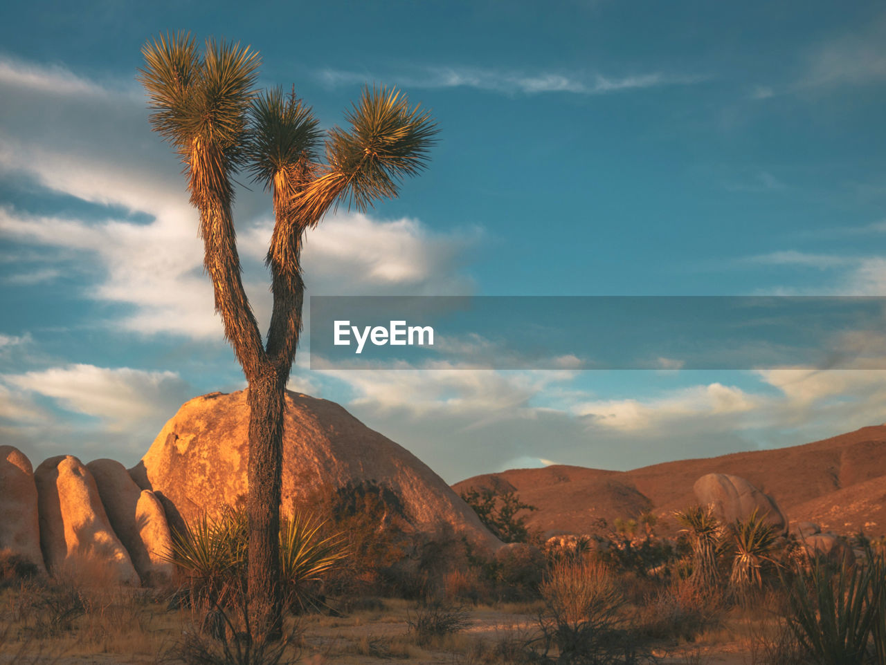 Scenic view of desert against sky