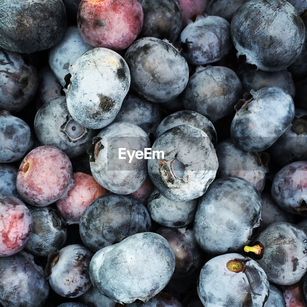 Close-up of fruits