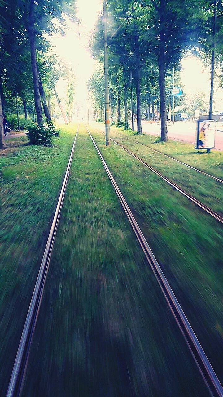 Railroad tracks on grassy field