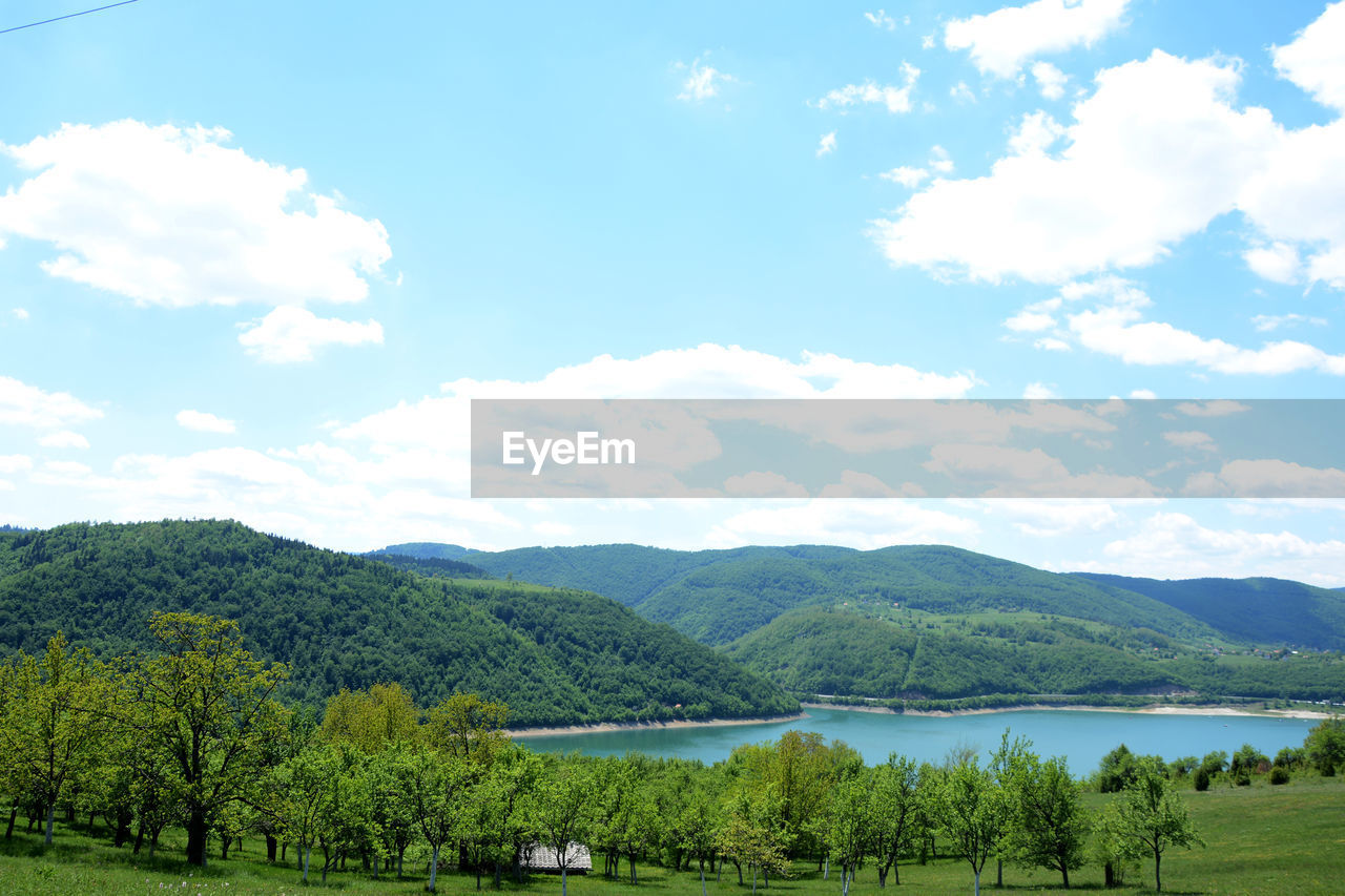 SCENIC VIEW OF LAKE AND TREES AGAINST SKY