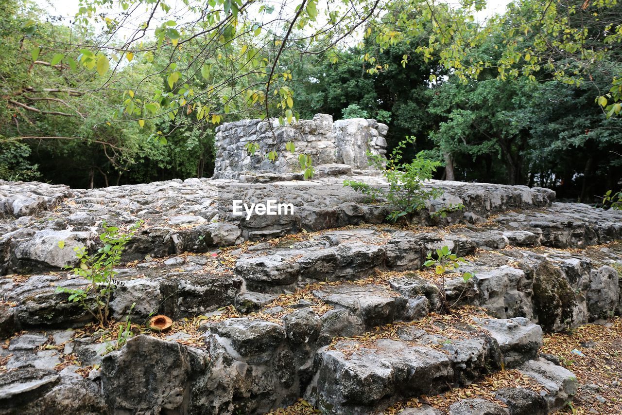 Stone wall by trees in forest against sky