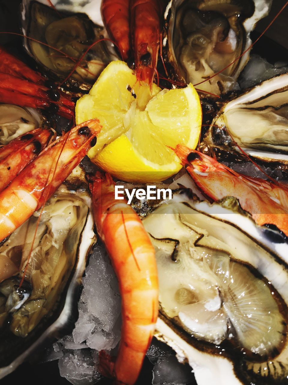 CLOSE-UP OF FRESH MEAT
