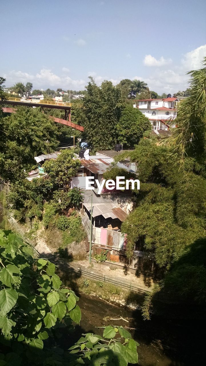 PLANTS AND TREES BY HOUSES AGAINST SKY