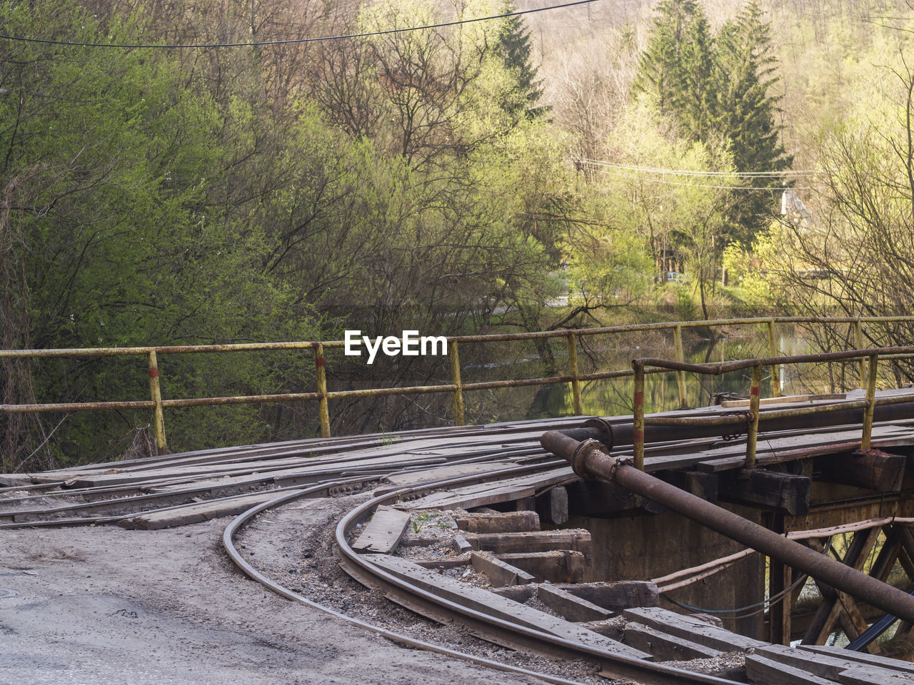 Railroad tracks by trees in forest