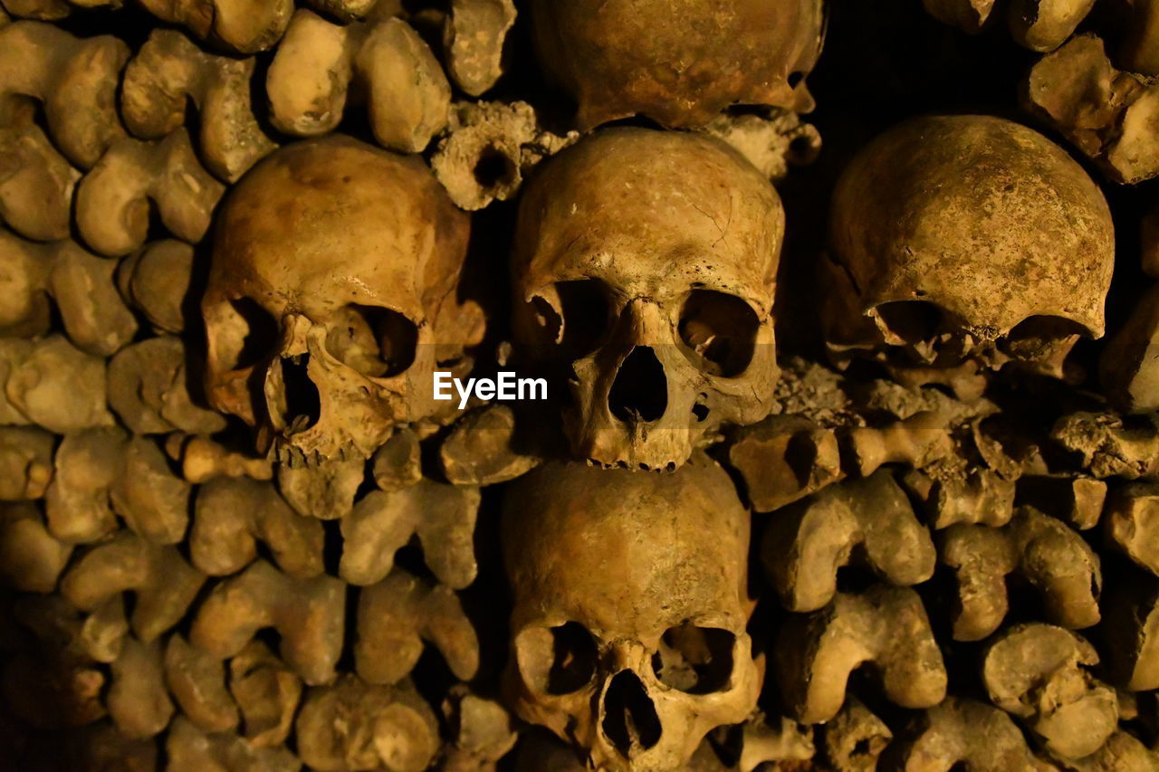 Close-up of stacked human skulls and bones