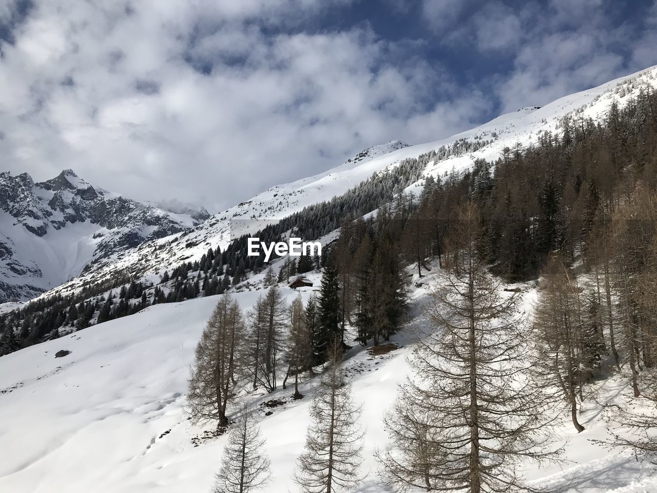 Snow covered mountains against sky