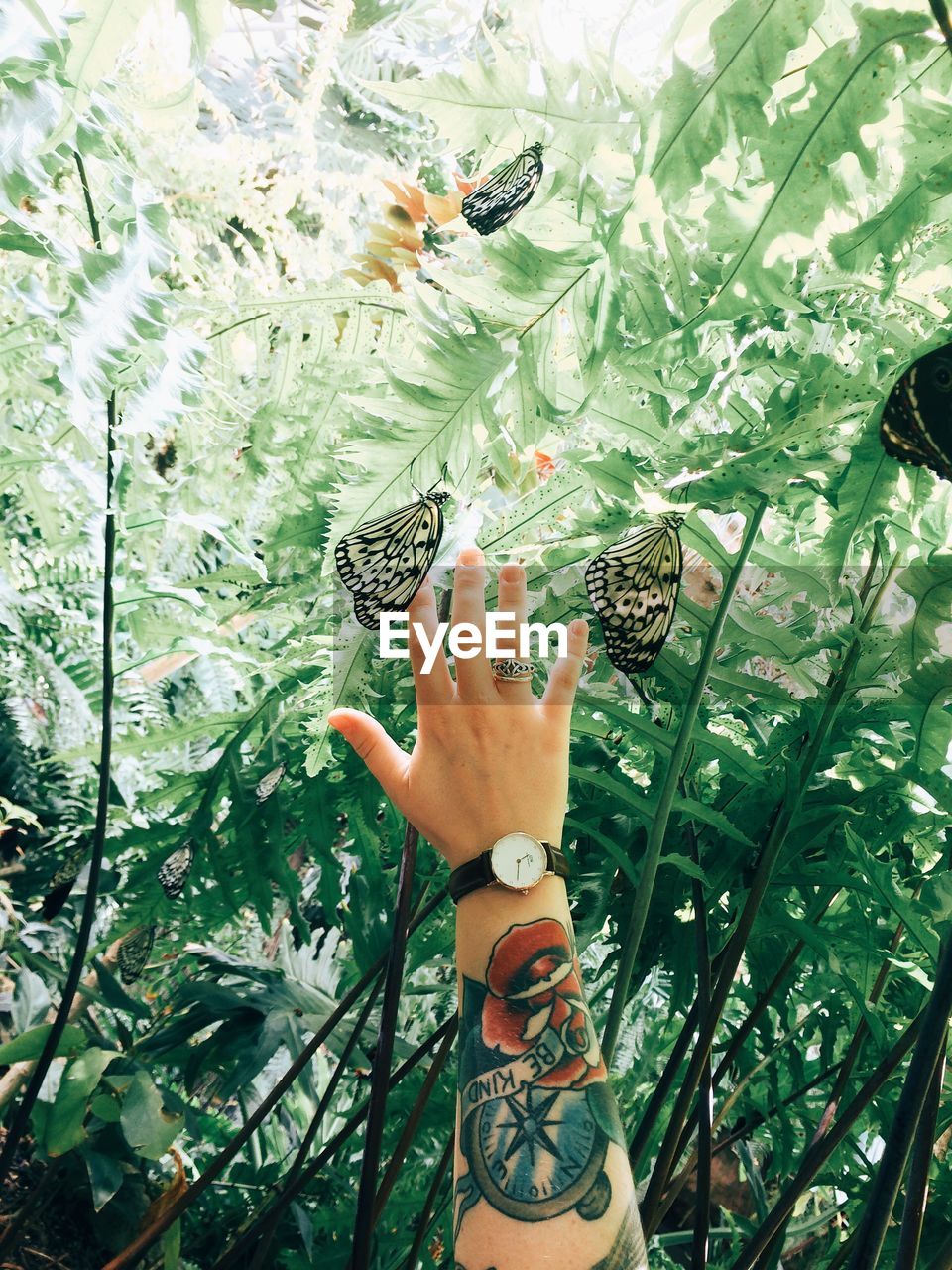 Cropped image of tattooed woman hand amidst butterflies against plants