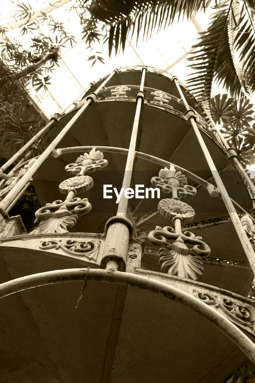 LOW ANGLE VIEW OF PALM TREES AGAINST SKY