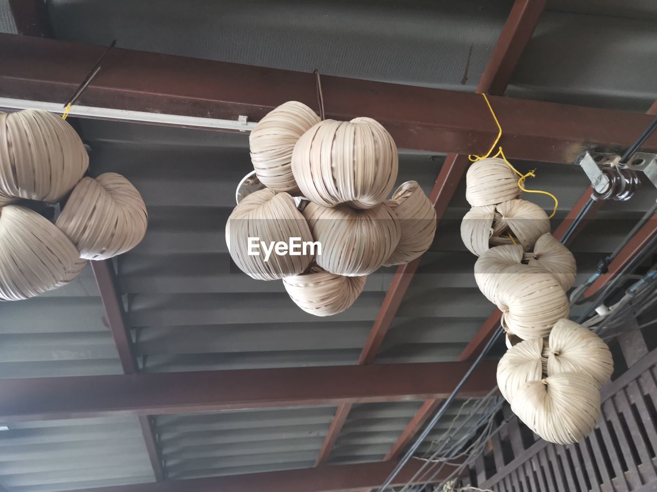 LOW ANGLE VIEW OF MUSHROOMS ON CEILING