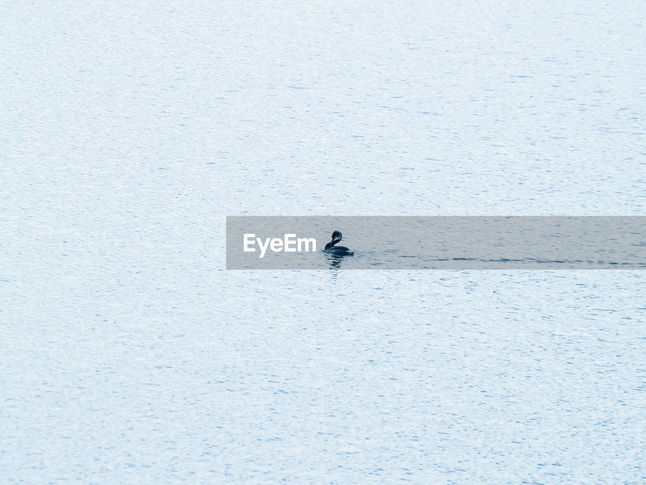 HIGH ANGLE VIEW OF PERSON SKIING ON SEA DURING WINTER