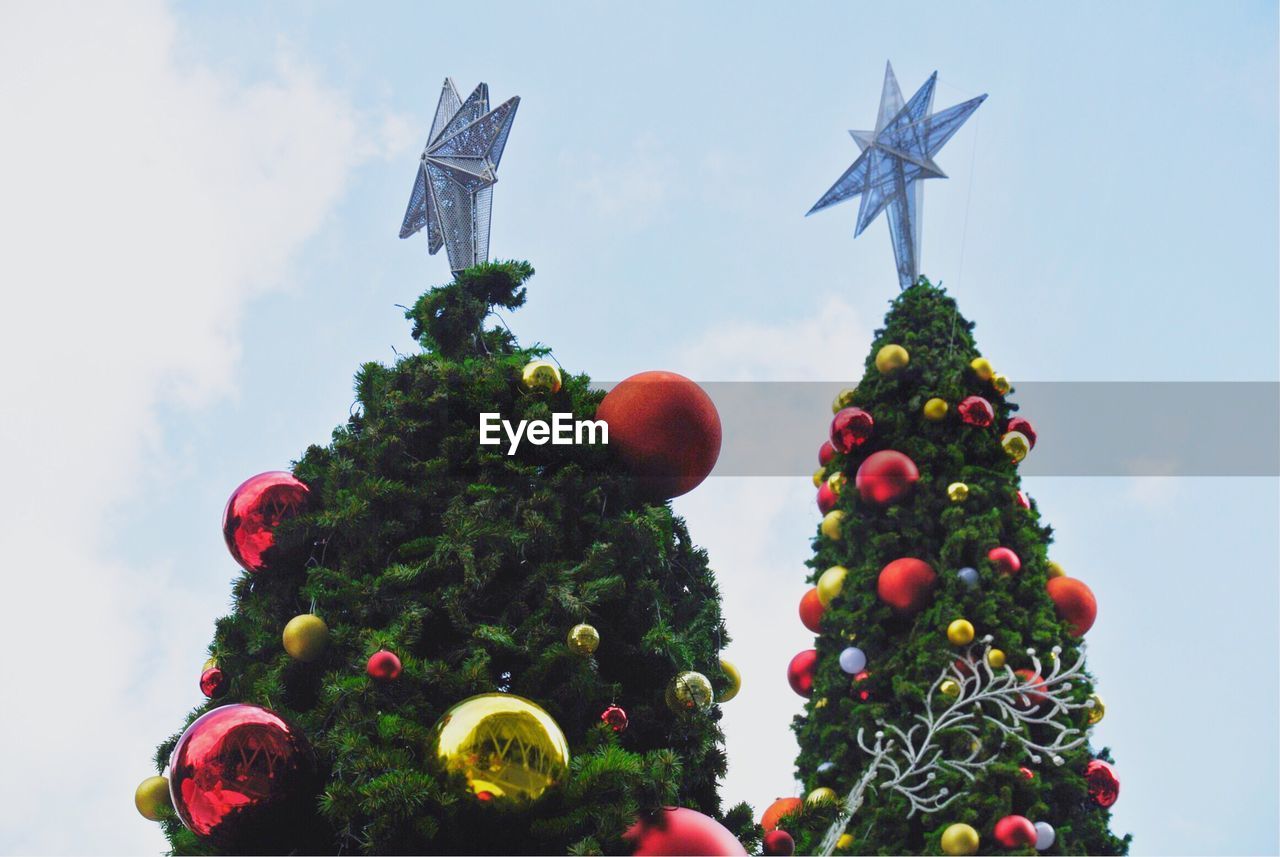 Low angle view of christmas trees against sky